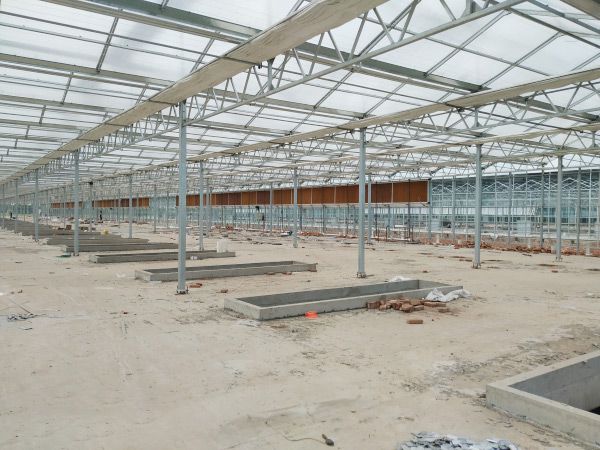 陽(yáng)光板溫室工程